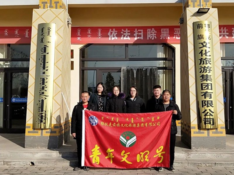 青春激荡：青年志愿者在社区服务中的活力与贡献